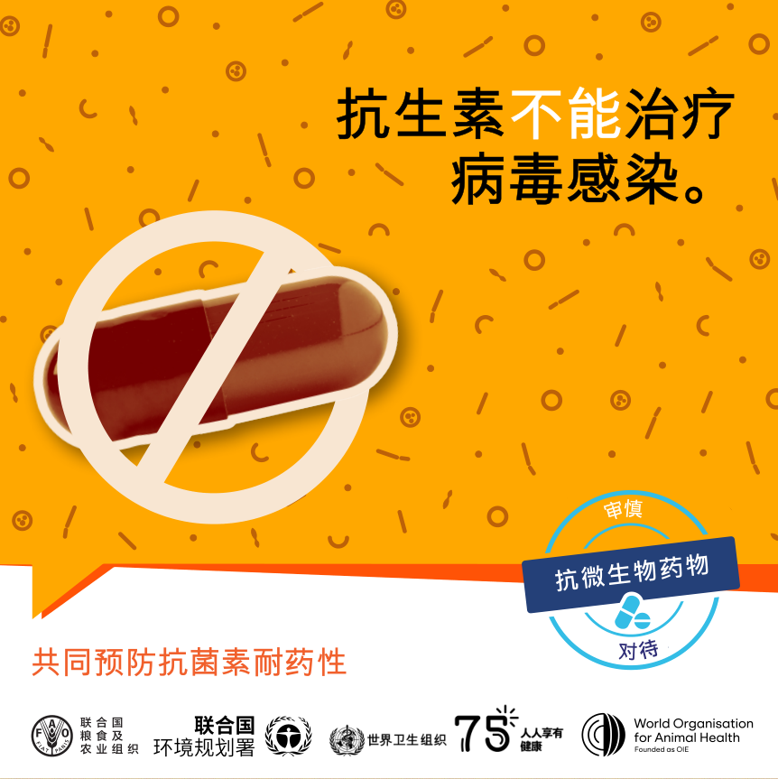 截图1700190741.png